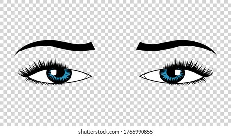 Vector eyes. Hand drawn female luxury eye with