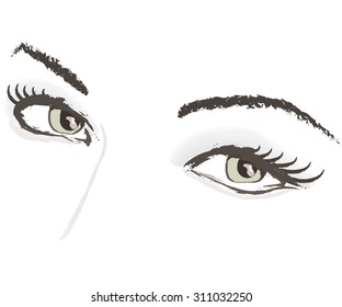 vector eyes lashes eyebrows  illustration portrait