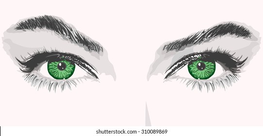 vector eyes lashes eyebrows outline illustration portrait