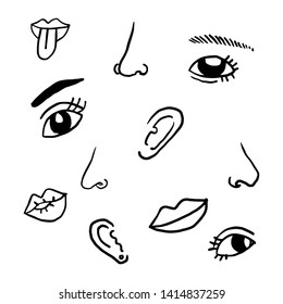 Vector Eyes, Nose, Mouth, Ears, Doodle Cartoon Face  