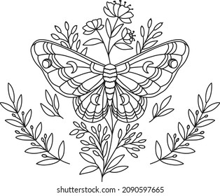 Vector fabulous print of a moth, butterfly (black outline on a white background)