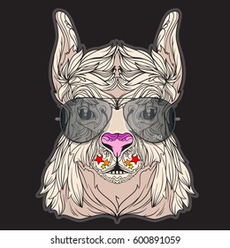 Vector face of lama with aviator eyeglasses. Isolated on black background. Line art style.