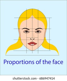 Vector face with lines showing facial proportions for cosmetology and drawing study