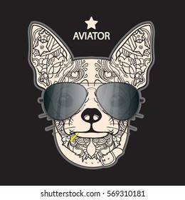 Vector face of little dog with aviator glasses. Isolated on black background.