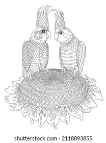 Vector fairy tale Corella parrot Love couple on sunflower. Coloring book page for adults and children, Valentine Day vintage greeting card