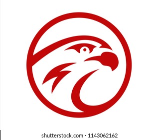 Vector falcon or hawk head sport logo mascot design. American wild eagle abstract beak symbol sign concept.