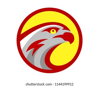 Vector falcon or hawk head sport logo mascot design. American wild eagle abstract bird beak symbol sign concept.