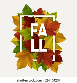 Vector fall, autumn badges, decoration with colorful leaves on light background