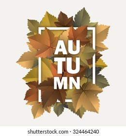 Vector fall, autumn badges, decoration with colorful leaves on light background