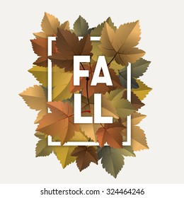 Vector fall, autumn badges, decoration with colorful leaves on light background