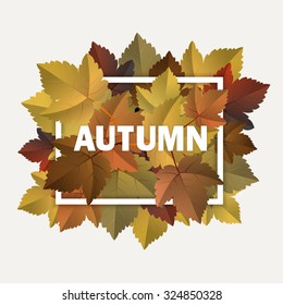 Vector fall, autumn badges, decoration, frame with colorful leaves on light background