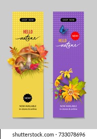 Vector fall banner for web or print. Header with autumn composition. Advertising banner of New Collection. Autumn sale design