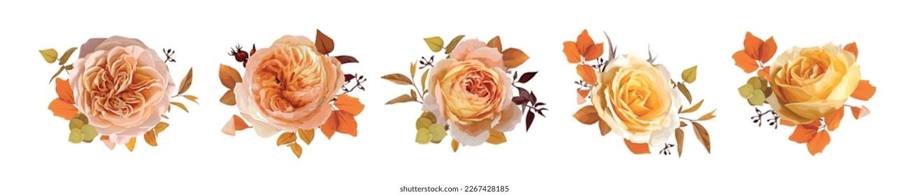 Vector fall bouquet set. Watercolor flowers, leaves. Peach orange garden roses, yellow eucalyptus leaf branches. Floral editable illustration. Lovely autumn wedding invite, thanksgiving design element
