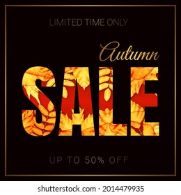 Vector Fall Discount Banner. Decorative Text Autumn Sale. Yellow Maple, Oak and Rowan Leaves. Dark Background. Golden Frame. 