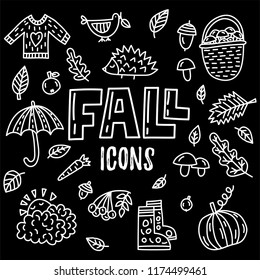 Vector fall doodle icons. Set of objects and symbols on the autumn theme