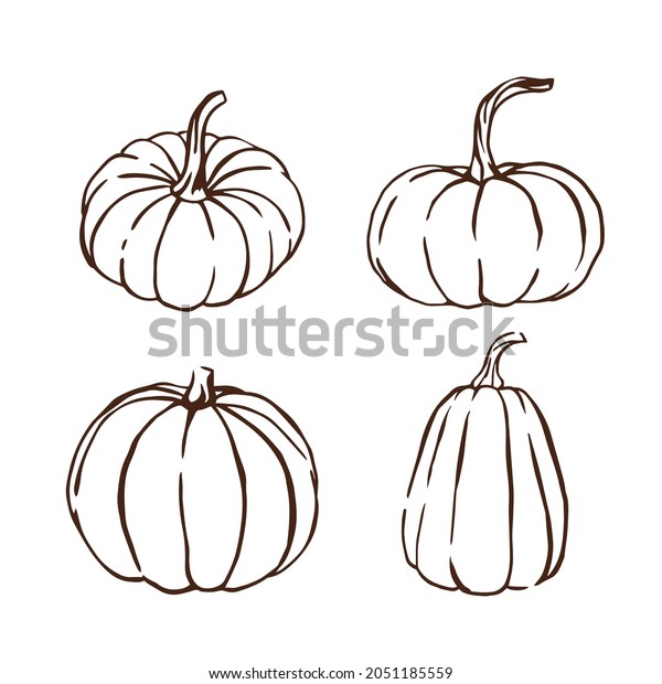 Vector Fall Line Art Pumpkin Set Stock Vector (Royalty Free) 2051185559 ...