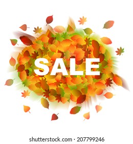  Vector fall sale poster / illustration. Autumn leaves.