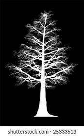 vector  fall tree