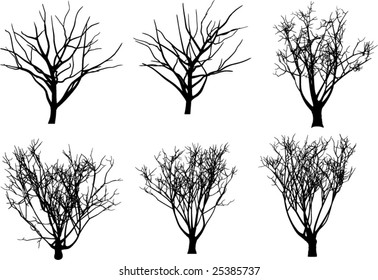 vector fall tree
