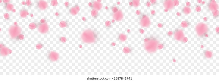 Vector falling petals png. Flying rose, sakura, or cherry blossom petals on a transparent background. Romantic background.