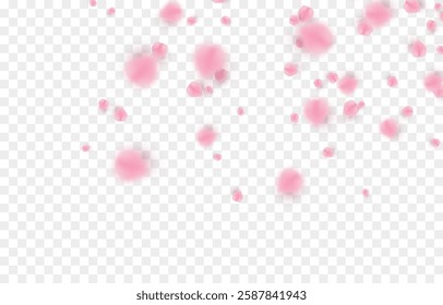 Vector falling petals png. Flying rose, sakura, or cherry blossom petals on a transparent background. Romantic background.