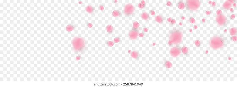 Vector falling petals png. Flying rose, sakura, or cherry blossom petals on a transparent background. Romantic background.