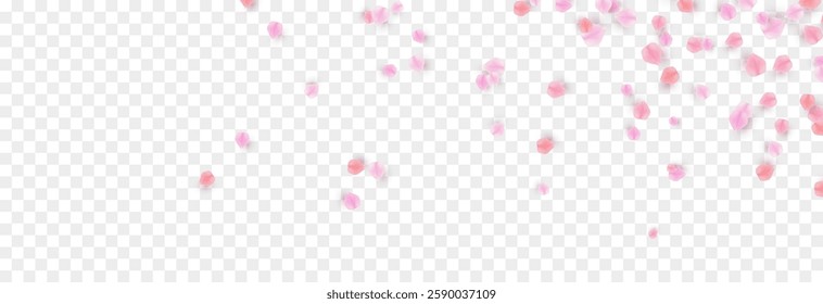 Vector falling petals png. Flying rose, sakura, or cherry blossom petals on a transparent background. Romantic background.