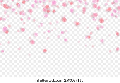 Vector falling petals png. Flying rose, sakura, or cherry blossom petals on a transparent background. Romantic background.