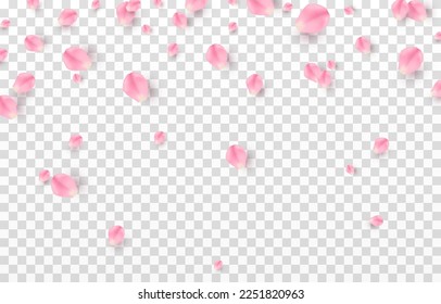 Vector falling rose petals png. Falling sakura petals, roses png. Pink petals png. Petals for Valentine's Day, Mother's Day, March 8.