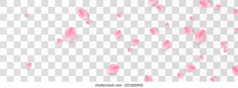 Vector falling rose petals png. Falling sakura petals, roses png. Pink petals png. Petals for Valentine's Day, Mother's Day, March 8.