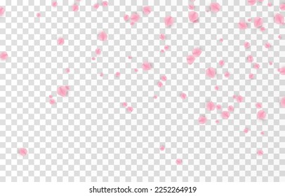 Vector falling rose petals png. Falling sakura petals, roses png. Pink petals png. Petals for Valentine's Day, Mother's Day, March 8.