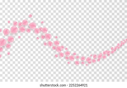 Vector falling rose petals png. Falling sakura petals, roses png. Pink petals png. Petals for Valentine's Day, Mother's Day, March 8.