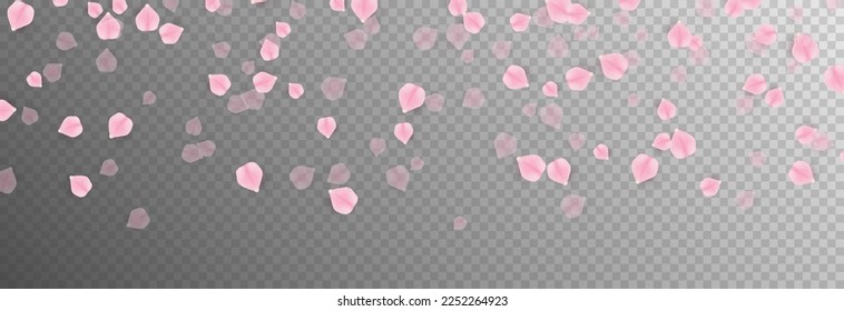 Vector que cae pétalos de rosa png. Caer pétalos de sakura, rosas png. Pétalos rosados png. Pétalos para el Día de San Valentín, Día de la Madre, 8 de marzo.