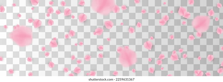 Vector falling rose petals png. Falling sakura petals, roses png. Pink petals png. Petals for Valentine's Day, Mother's Day, March 8.