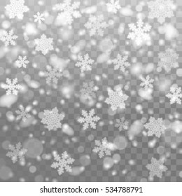 Vector falling snow. Isolated snowflakes on the transparent background