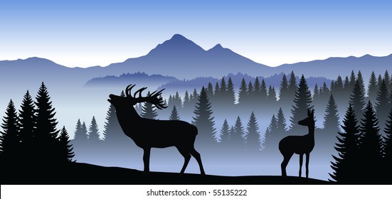 vector family of deer in mountains