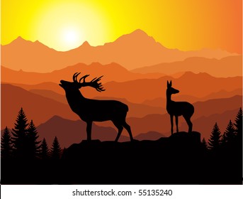 vector family of deer in mountains