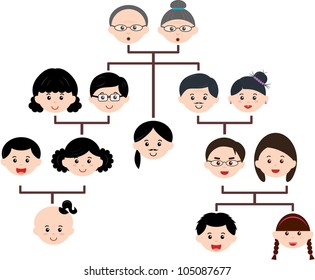Vector Of Family Tree, A Diagram Of Members. A Set Of Cute And Colorful Icon Collection Isolated On White Background