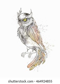 Vector Fantasy background with Hand Drawn of owl , vector background 