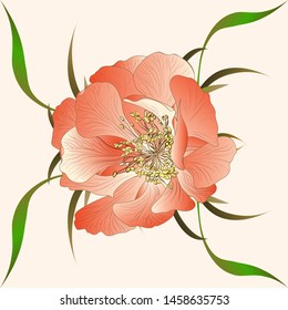 Vector. Fantasy flowers - decorative composition. Flowers with long petals. Wallpaper.  Use printed materials, patterns for fabrics, posters, cards, packaging.