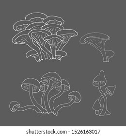 Vector fantasy forest mushroom illustration. White outline on light gray background