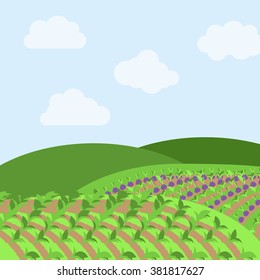 Vector Farm or Agriculture Themed Background