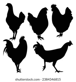 Vector farm animal chicken silhouettes vector illustration