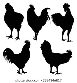 Vector farm animal chicken silhouettes vector illustration