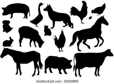 4,822 Cow pig outline Images, Stock Photos & Vectors | Shutterstock