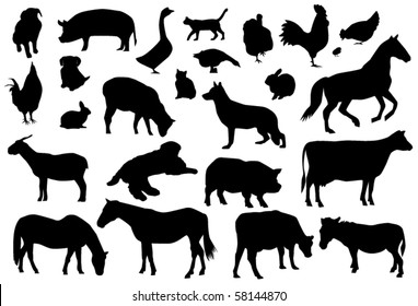 vector farm animals