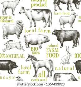 Vector farm animals background. Vintage illustration. Hand drawn animals. Farm seamless pattern.