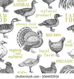 Vector farm animals background. Vintage illustration. Hand drawn farm birds. Poultry seamless pattern.