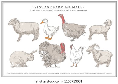 Vector farm animals isolated on white. Vector illustration art. Hand drawn animals.1