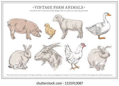 Vector farm animals isolated on white. Vector illustration art. Hand drawn animals.2